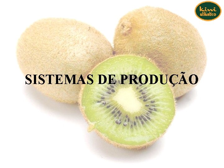 SISTEMAS DE PRODUÇÃO SISTEMAS DE PRODUÇÃO