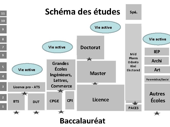 Schéma des études 11 Spé. 10 Vie active 9 Vie active 8 Doctorat Vie