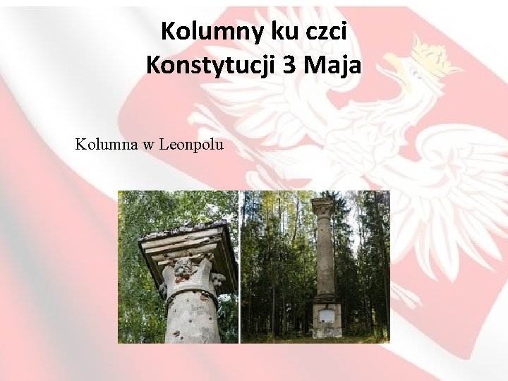 Kolumny ku czci Konstytucji 3 Maja Kolumna w Leonpolu 