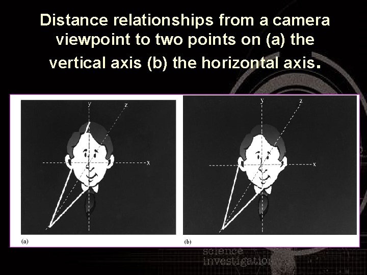 Distance relationships from a camera viewpoint to two points on (a) the vertical axis