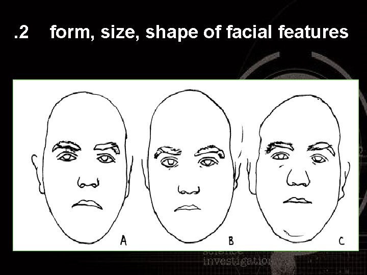 . 2 form, size, shape of facial features 