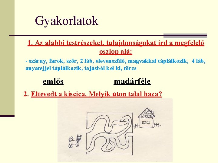 Gyakorlatok 1. Az alábbi testrészeket, tulajdonságokat írd a megfelelő oszlop alá: - szárny, farok,