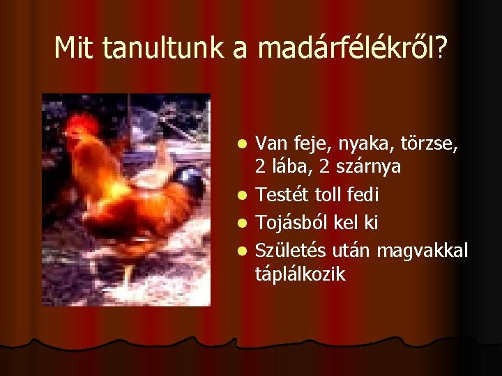 Mit tanultunk a madárfélékről? Van feje, nyaka, törzse, 2 lába, 2 szárnya l Testét