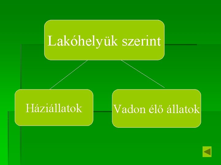 Lakóhelyük szerint Háziállatok Vadon élő állatok 