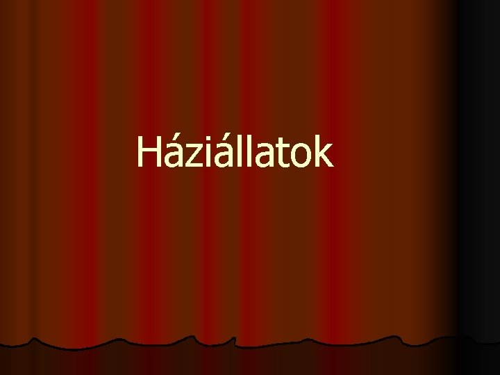 Háziállatok 