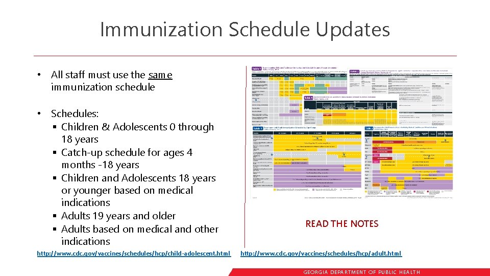 Immunization Schedule Updates • All staff must use the same immunization schedule • Schedules: