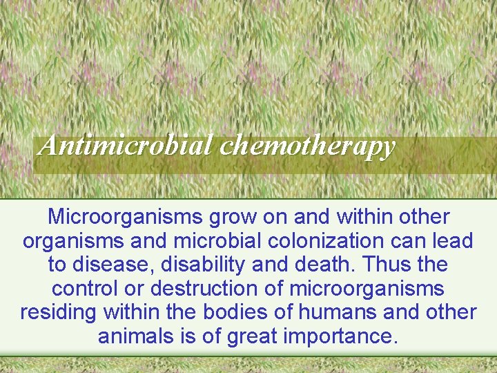 Antimicrobial chemotherapy Microorganisms grow on and within other organisms and microbial colonization can lead