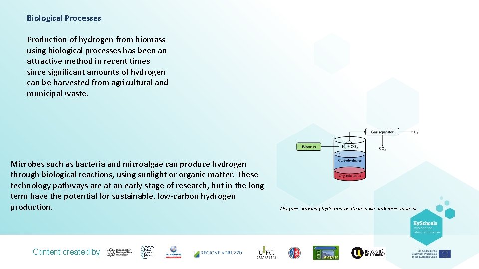 Biological Processes Production of hydrogen from biomass using biological processes has been an attractive