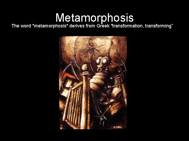 Metamorphosis The word "metamorphosis" derives from Greek "transformation, transforming” 