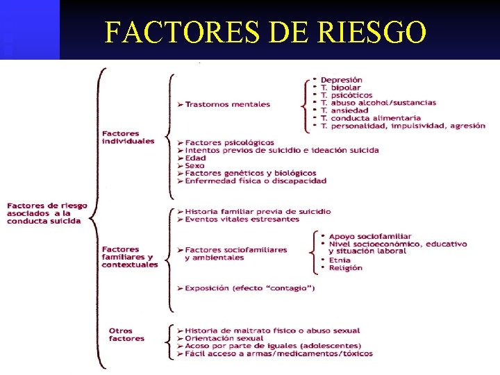 FACTORES DE RIESGO 