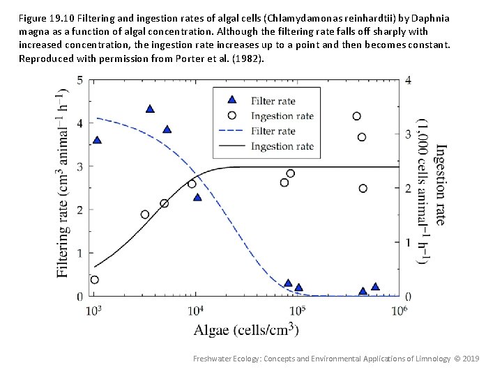 Figure 19. 10 Filtering and ingestion rates of algal cells (Chlamydamonas reinhardtii) by Daphnia