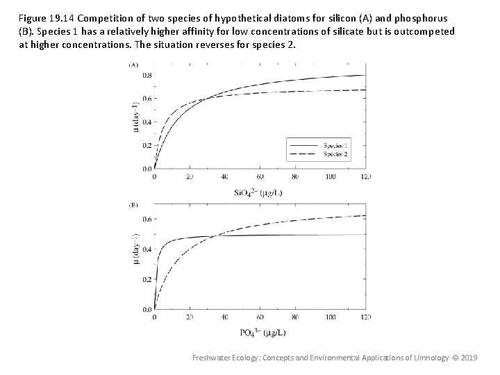 Figure 19. 14 Competition of two species of hypothetical diatoms for silicon (A) and