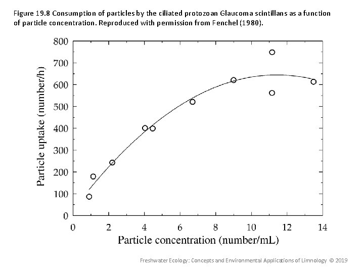 Figure 19. 8 Consumption of particles by the ciliated protozoan Glaucoma scintillans as a