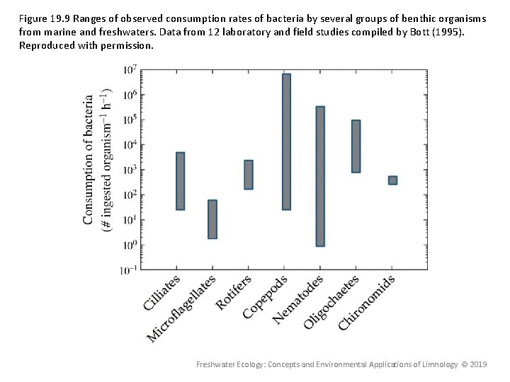 Figure 19. 9 Ranges of observed consumption rates of bacteria by several groups of