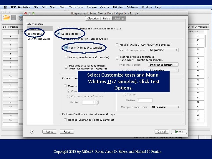 Select Customize tests and Mann. Whitney U (2 samples). Click Test Options. Copyright 2013