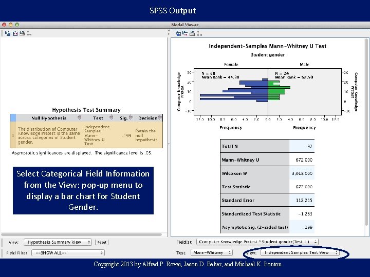 SPSS Output Select Categorical Field Information from the View: pop-up menu to display a