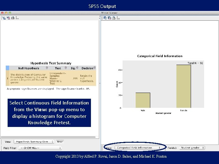 SPSS Output Select Continuous Field Information from the View: pop-up menu to display a