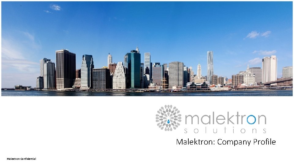 Malektron: Company Profile Malectron Confidential 