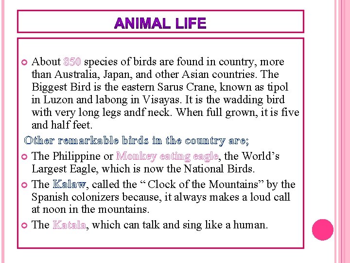About 850 species of birds are found in country, more than Australia, Japan, and