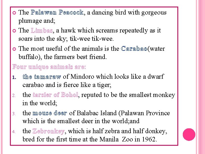 The Palawan Peacock, a dancing bird with gorgeous plumage and; The Limbas, a hawk