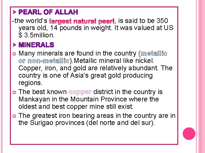 Ø -the world’s , is said to be 350 years old, 14 pounds in