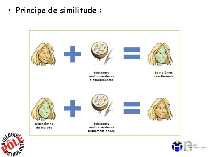  • Principe de similitude : 