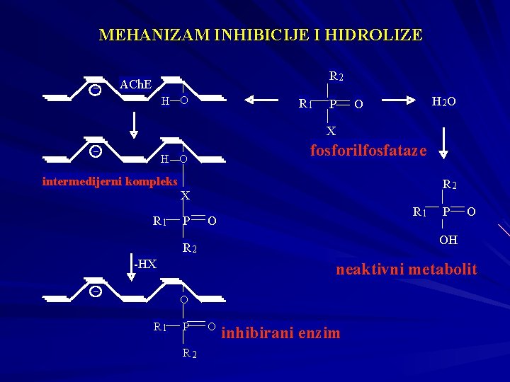 MEHANIZAM INHIBICIJE I HIDROLIZE R 2 ACh. E H O R 1 P H