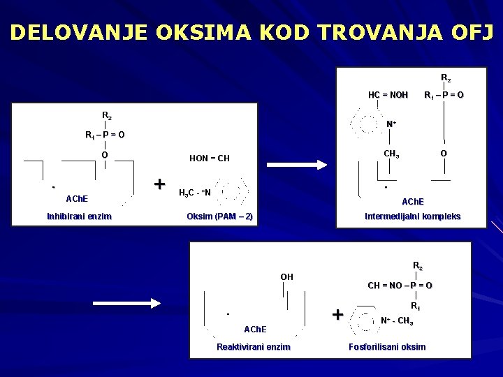 DELOVANJE OKSIMA KOD TROVANJA OFJ R 2 HC = NOH R 1 – P