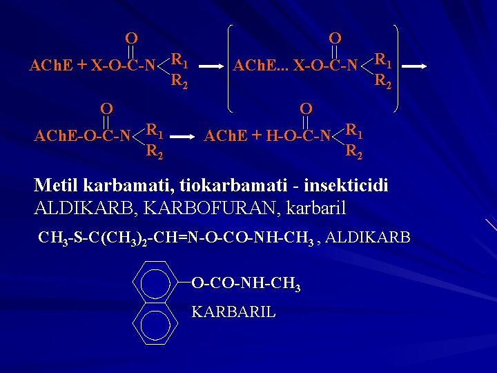 O ACh. E + X-O-C-N R 1 R 2 O ACh. E. . .