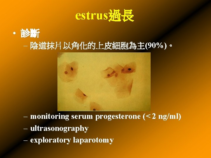 estrus過長 • 診斷 – 陰道抹片以角化的上皮細胞為主(90%)。 – monitoring serum progesterone (< 2 ng/ml) – ultrasonography