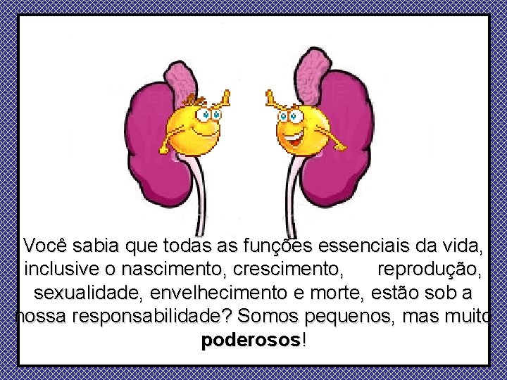 Você sabia que todas as funções essenciais da vida, inclusive o nascimento, crescimento, reprodução,