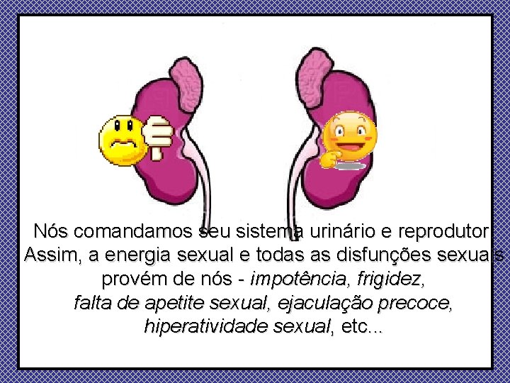 Nós comandamos seu sistema urinário e reprodutor. Assim, a energia sexual e todas as