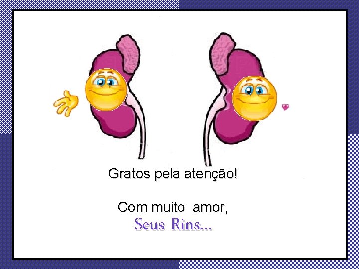 Gratos pela atenção! Com muito amor, Seus Rins. . . 