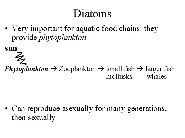 Diatoms • Very important for aquatic food chains: they provide phytoplankton sun Phytoplankton Zooplankton