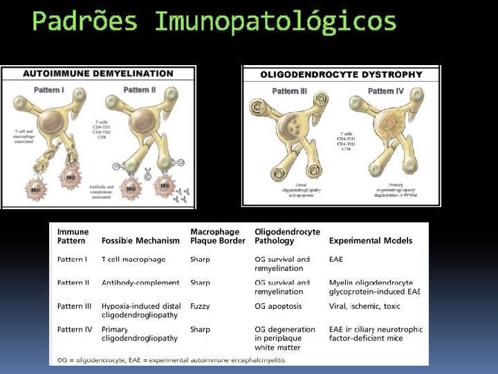 Padrões Imunopatológicos 