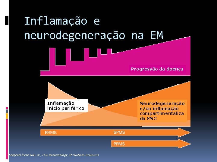 Inflamação e neurodegeneração na EM Progressão da doença Inflamação início periférico Adapted from Bar-Or,