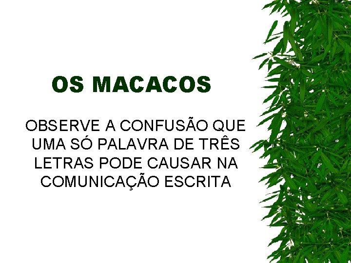 OS MACACOS OBSERVE A CONFUSÃO QUE UMA SÓ PALAVRA DE TRÊS LETRAS PODE CAUSAR