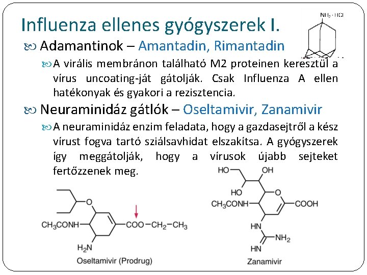 Influenza ellenes gyógyszerek I. Adamantinok – Amantadin, Rimantadin A virális membránon található M 2