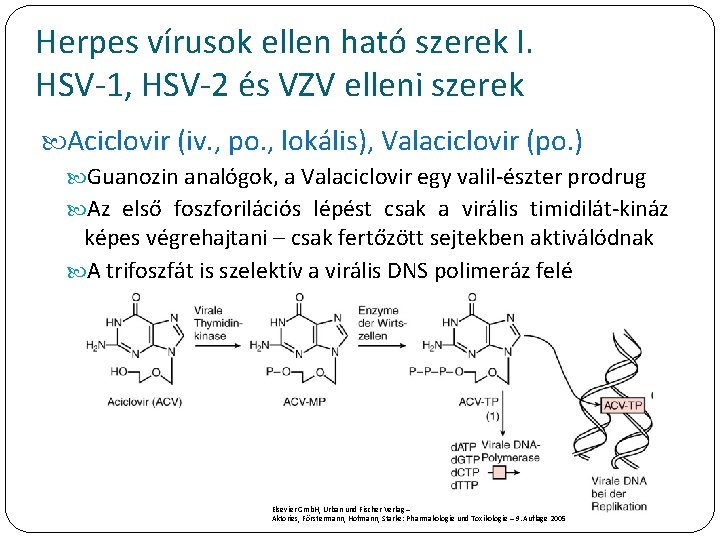 Herpes vírusok ellen ható szerek I. HSV-1, HSV-2 és VZV elleni szerek Aciclovir (iv.