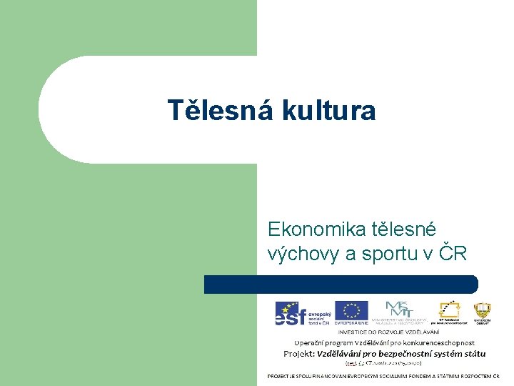 Tělesná kultura Ekonomika tělesné výchovy a sportu v ČR 