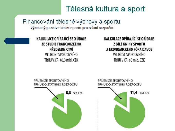 Tělesná kultura a sport Financování tělesné výchovy a sportu 