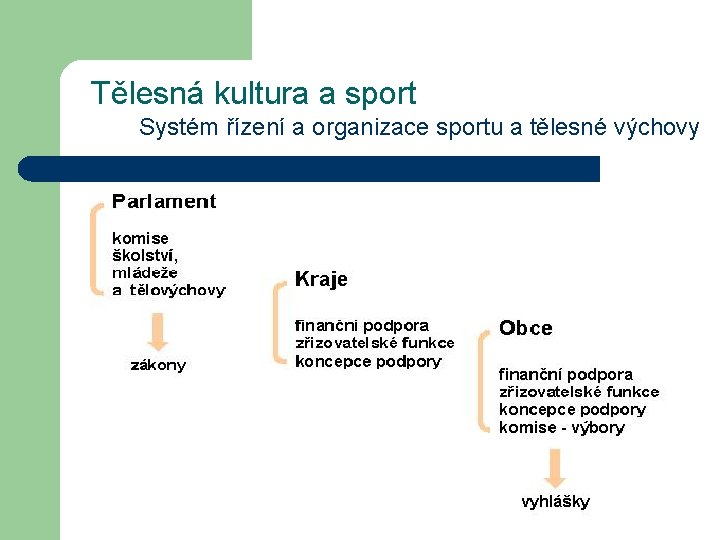 Tělesná kultura a sport Systém řízení a organizace sportu a tělesné výchovy 