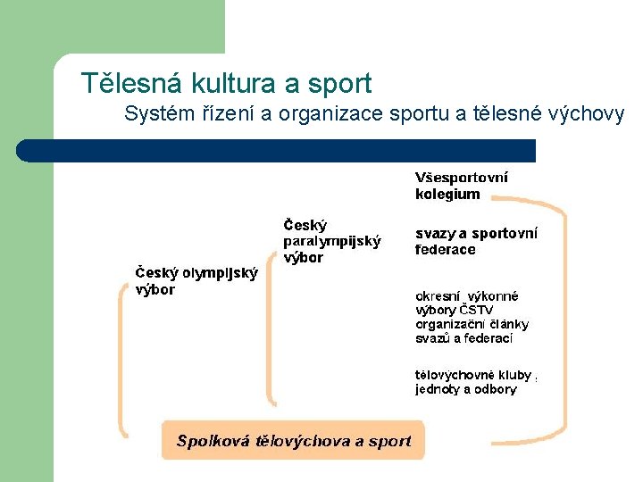 Tělesná kultura a sport Systém řízení a organizace sportu a tělesné výchovy 