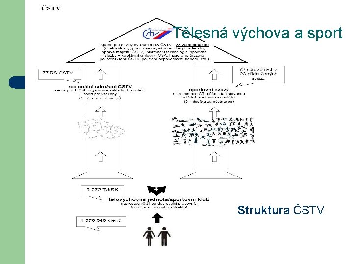 Tělesná výchova a sport Struktura ČSTV 