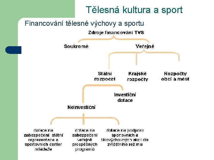 Tělesná kultura a sport Financování tělesné výchovy a sportu 