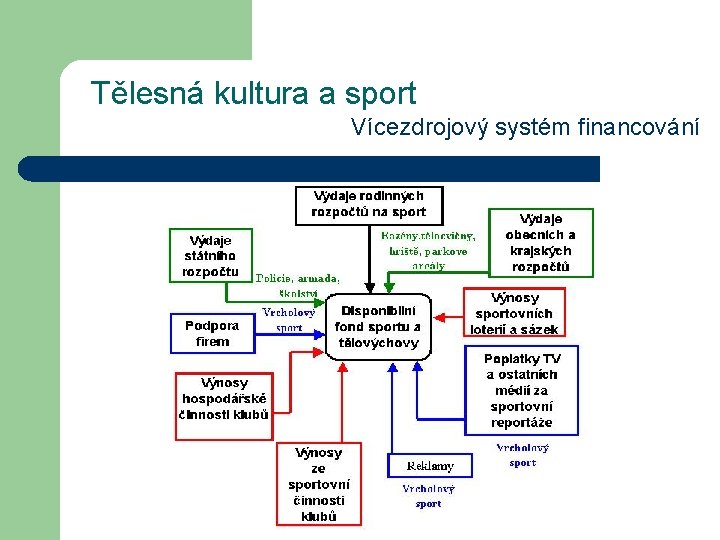 Tělesná kultura a sport Vícezdrojový systém financování 