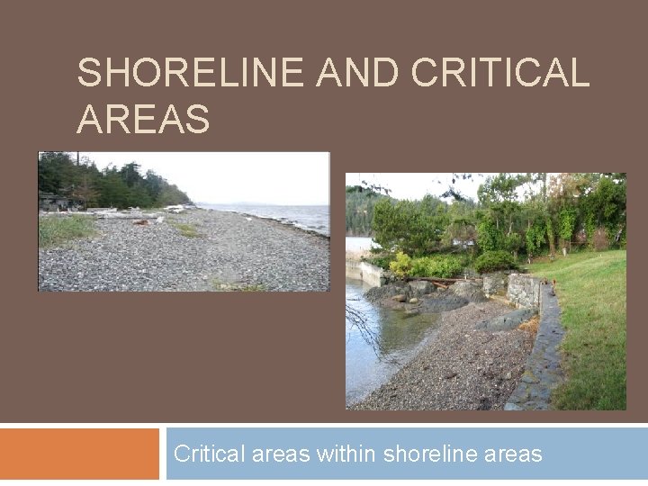 SHORELINE AND CRITICAL AREAS Critical areas within shoreline areas 