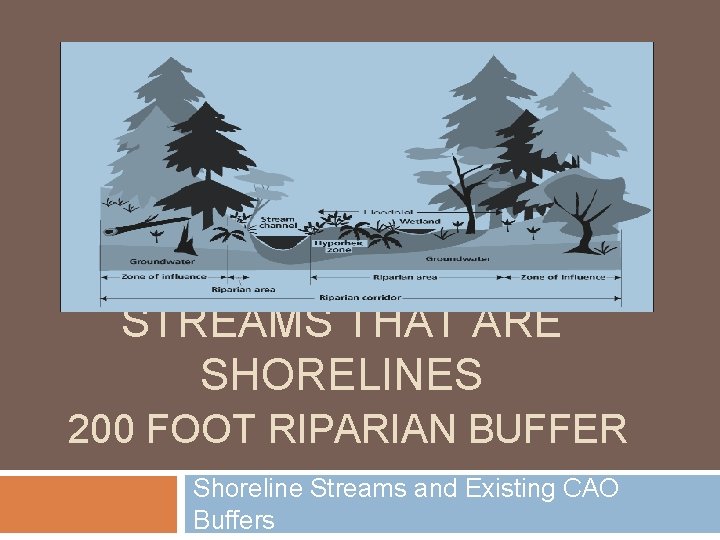 STREAMS THAT ARE SHORELINES 200 FOOT RIPARIAN BUFFER Shoreline Streams and Existing CAO Buffers