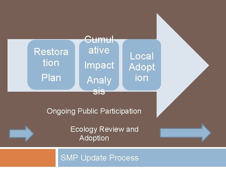 Restora tion Plan Cumul ative Impact Analy sis Local Adopt ion Ongoing Public Participation