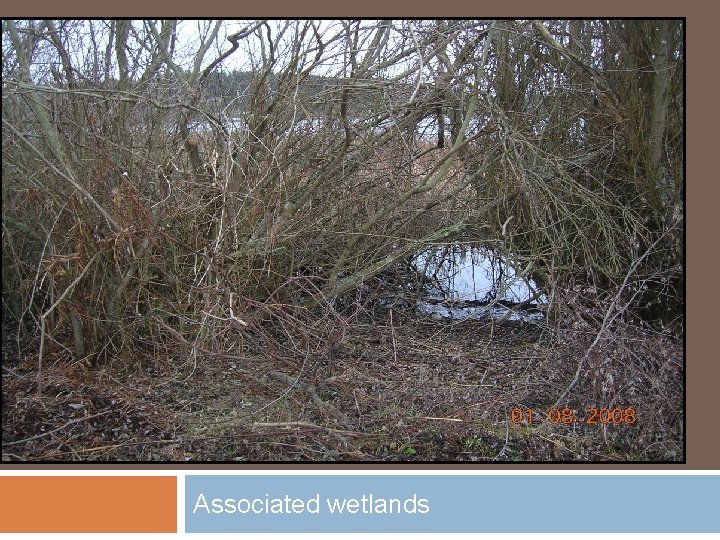 Associated wetlands 